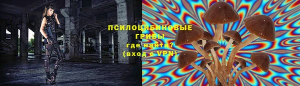 мет Вяземский