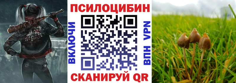 где купить   Муром  Галлюциногенные грибы мухоморы 