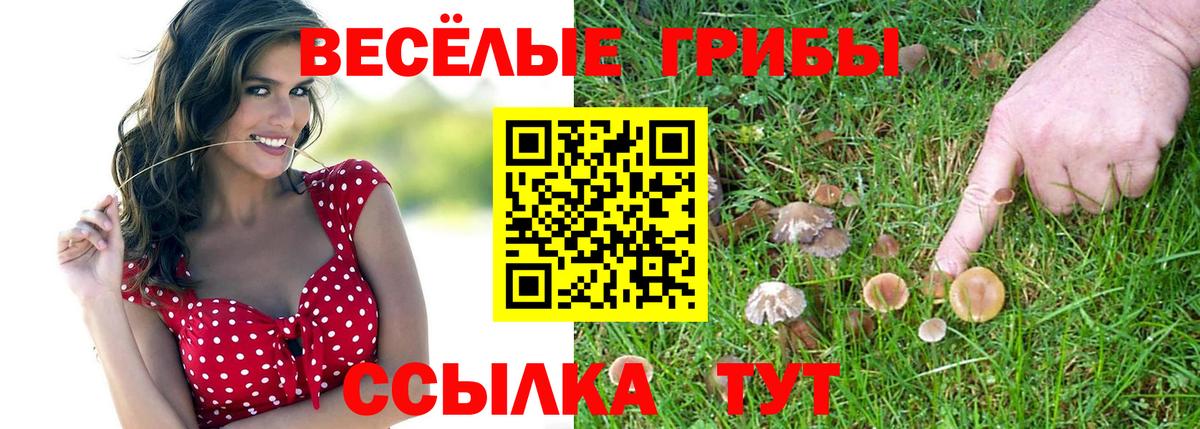 Псилоцибиновые грибы GOLDEN TEACHER Муром