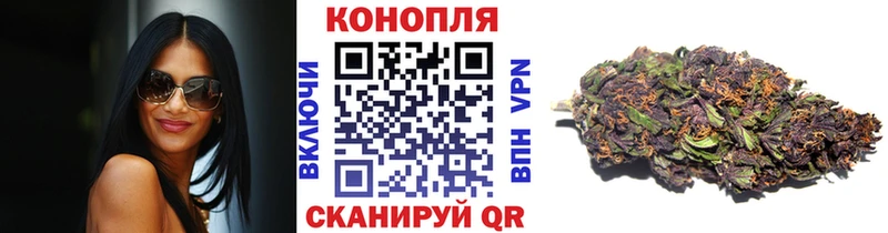 darknet наркотические препараты  Муром  Бошки Шишки конопля  где можно купить  